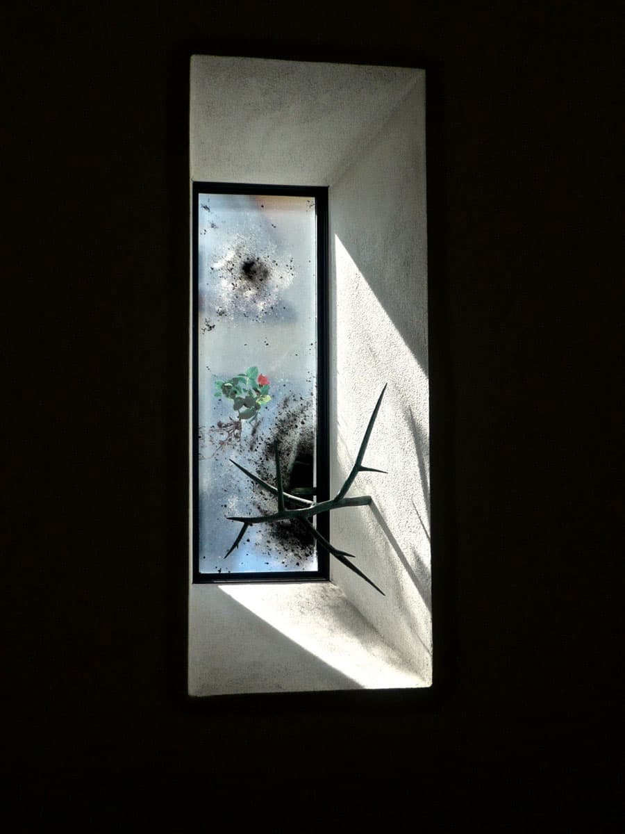 Ein Himmelsgarten für St. Valentin Ein Himmelsgarten für St. Valentin